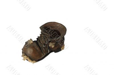 mouse shoe