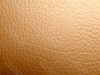 Light leather texture