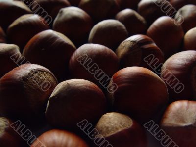 Pattern with hazelnuts