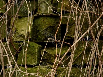 Old stones