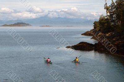 Kayaking Johnstone Strait