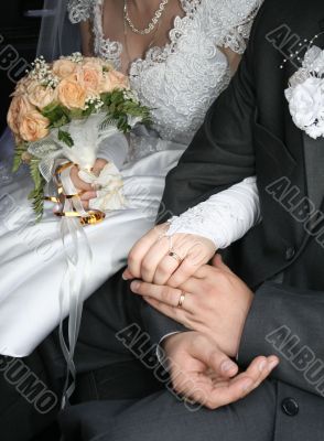 Hands  with wedding rings