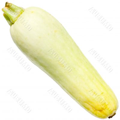 squash