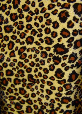 Leopard pattern