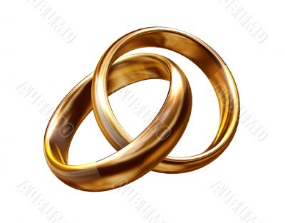 Wedding rings 3D