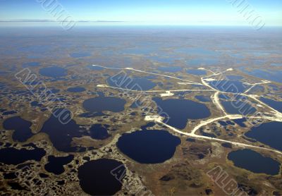 Siberian marsh