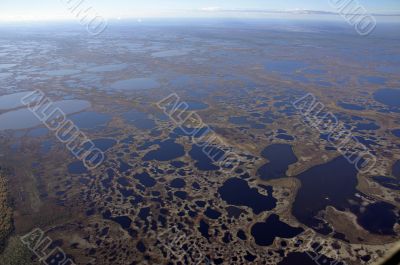 Siberian marsh
