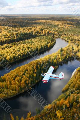 airplane over forest