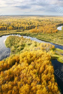 Autumn forest