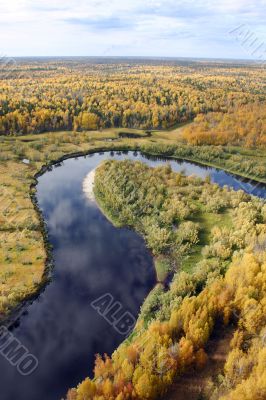 Autumn forest