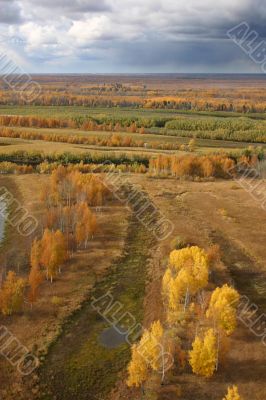 Autumn taiga