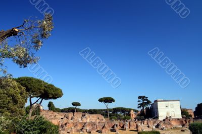 palatine panorama