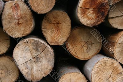 firewood background