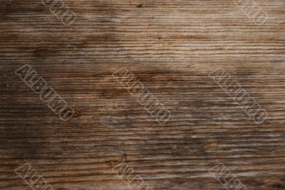 Wood texture