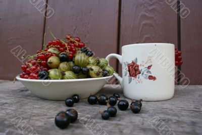 gooseberries and currants