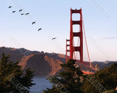 Golden Gate Bridge