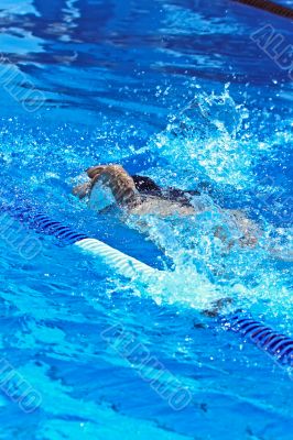 Swimmer
