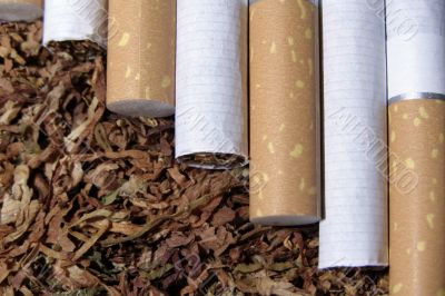 tobacco and cigarete