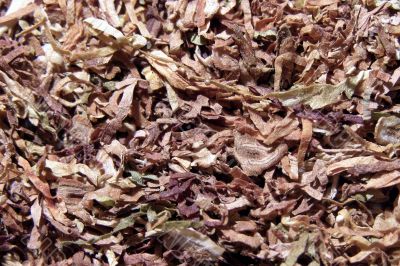 tobacco