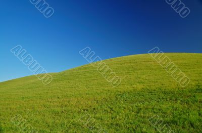 rural spring countryside