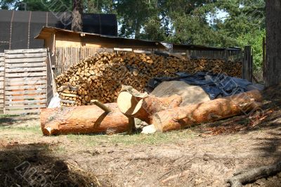 Billet of the firewood 1