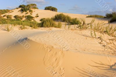 Beautiful dunes.