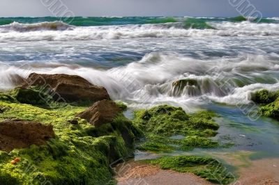 Stone surf