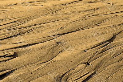Wet sand