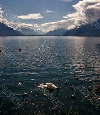 Heat on lake.