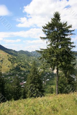 landscape with hill