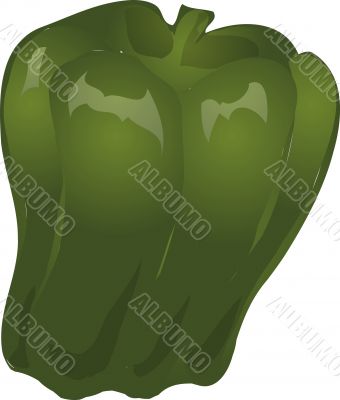 Bell pepper