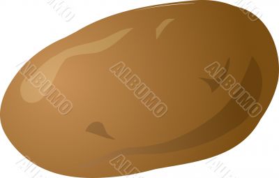 Potato