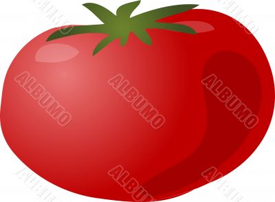 Tomato