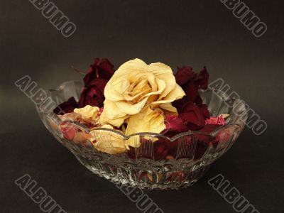  dark rozes in the vase