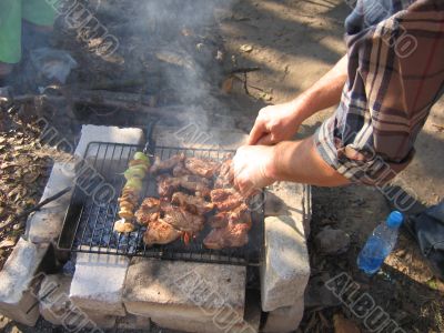 shashlik from pork