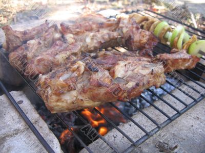 shashlik from pork