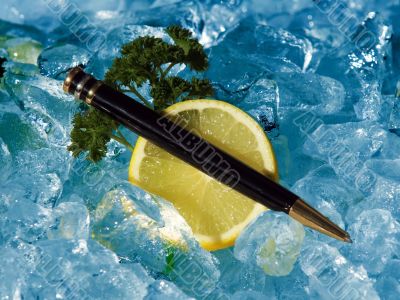 Executive Pen On Ice