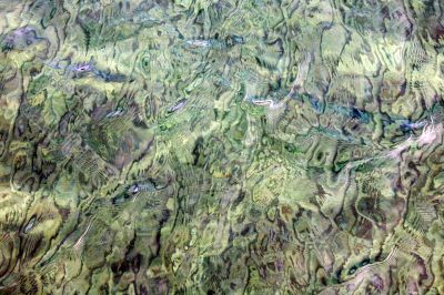 mother of pearl background