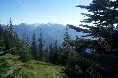 Pacific Northwest Mountains