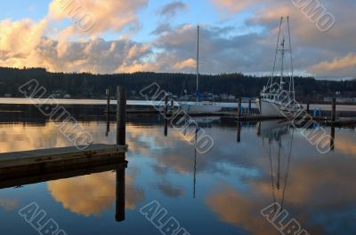 boats in the marina
