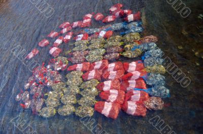 Oyster bags