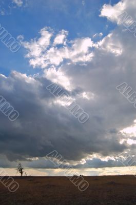 under a stormy sky