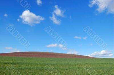 field and sky
