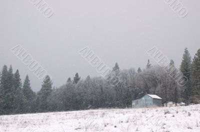 snowy afternoon