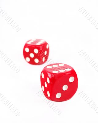 Dice