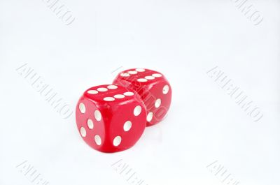 Dice