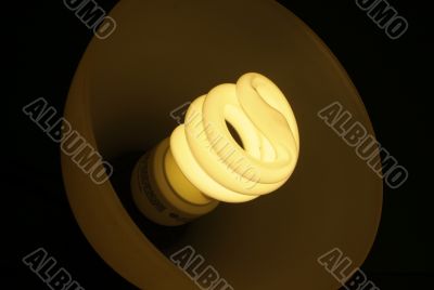 compact fluorescent light bulb
