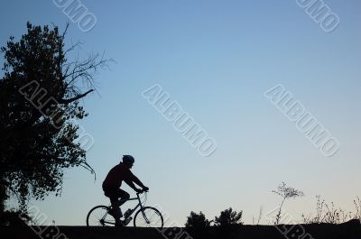 Mountain Biker Silhouette