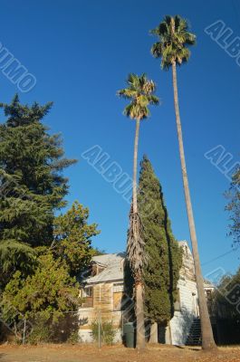 California Fixer Upper