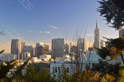 San Francisco Skyline